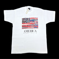 (T-SHIRT) DEAD STOCK NEW 1990'S～ MADE IN USA PERRY ELLIS STARS AND STRIPES PRINT T-SHIRT
