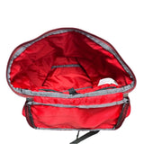 (other) 2016 PATAGONIA BACKPACK FA16